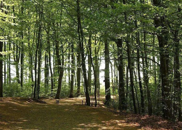 Ośrodek wypoczynkowy Farris Bad 4*